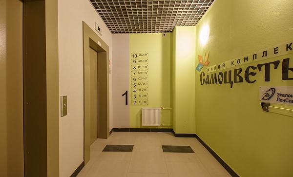 САМОЦВЕТЫ