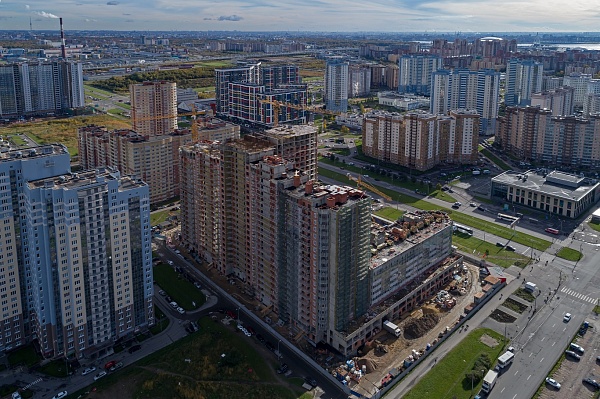 МОРСКАЯ ЗВЕЗДА