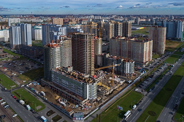 МОРСКАЯ ЗВЕЗДА