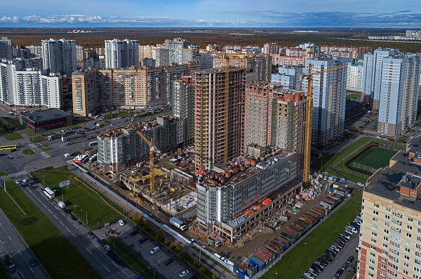 МОРСКАЯ ЗВЕЗДА
