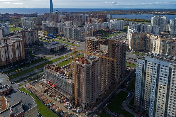 МОРСКАЯ ЗВЕЗДА